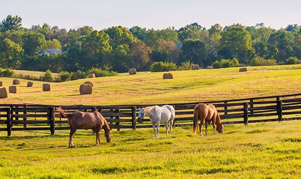 Kentucky landscape